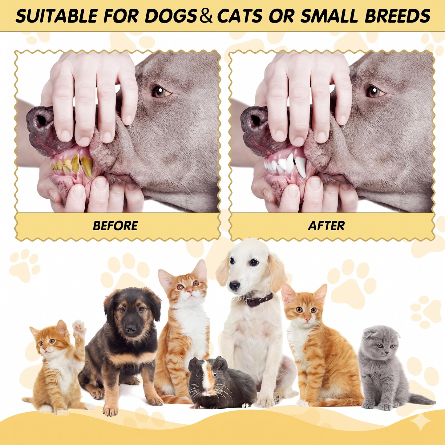 Pet Toothbrush Set for Dogs & Cats – Soft Bristle Oral Cleaning Kit for Fresh Breath & Healthy Teeth