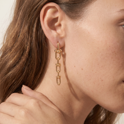 Graduated Link Drop Earrings