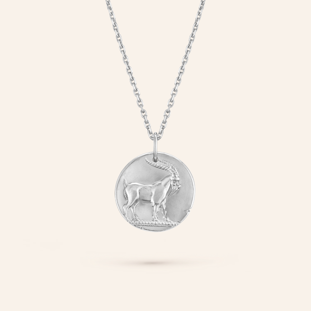 Capricorn Zodiac Coin Pendant Necklace