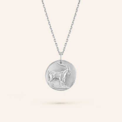 Capricorn Zodiac Coin Pendant Necklace