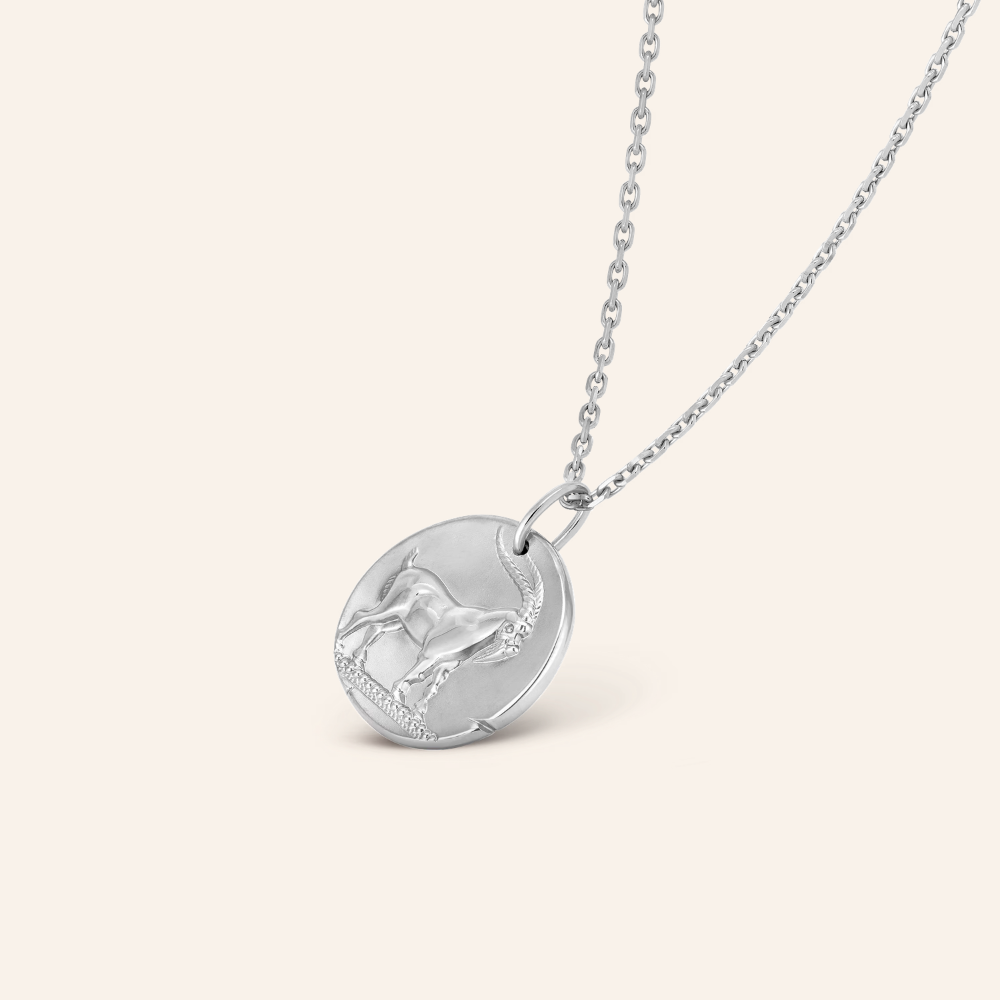 Capricorn Zodiac Coin Pendant Necklace