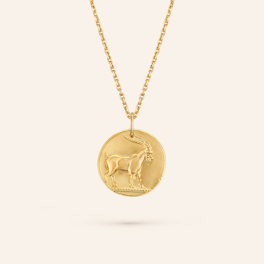 Capricorn Zodiac Coin Pendant Necklace