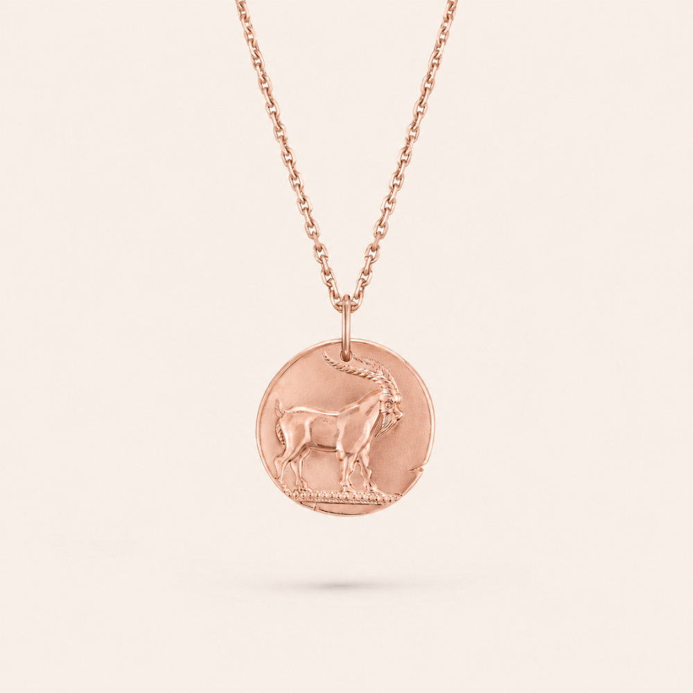 Capricorn Zodiac Coin Pendant Necklace