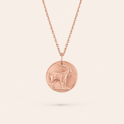 Capricorn Zodiac Coin Pendant Necklace