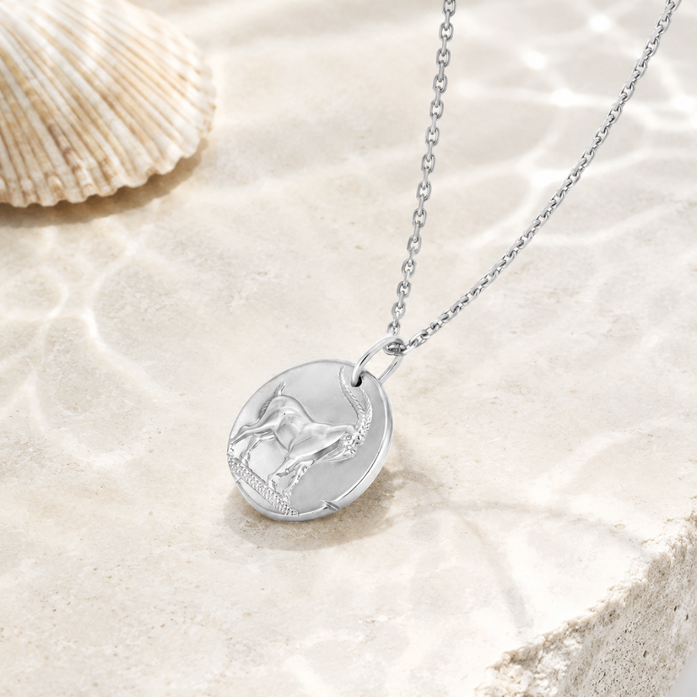 Capricorn Zodiac Coin Pendant Necklace
