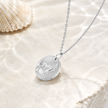 Capricorn Zodiac Coin Pendant Necklace