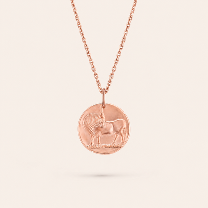 Taurus Zodiac Coin Pendant Necklace