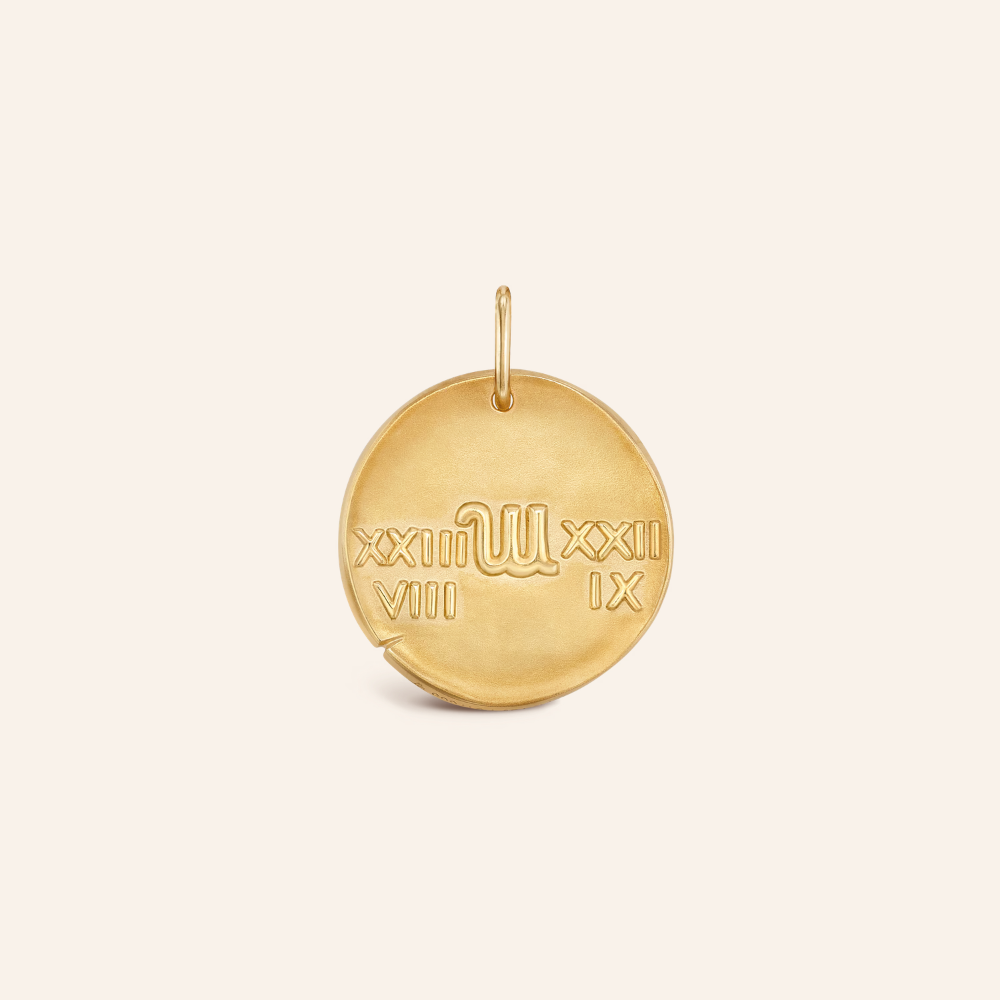 Virgo Zodiac Coin Pendant Necklace
